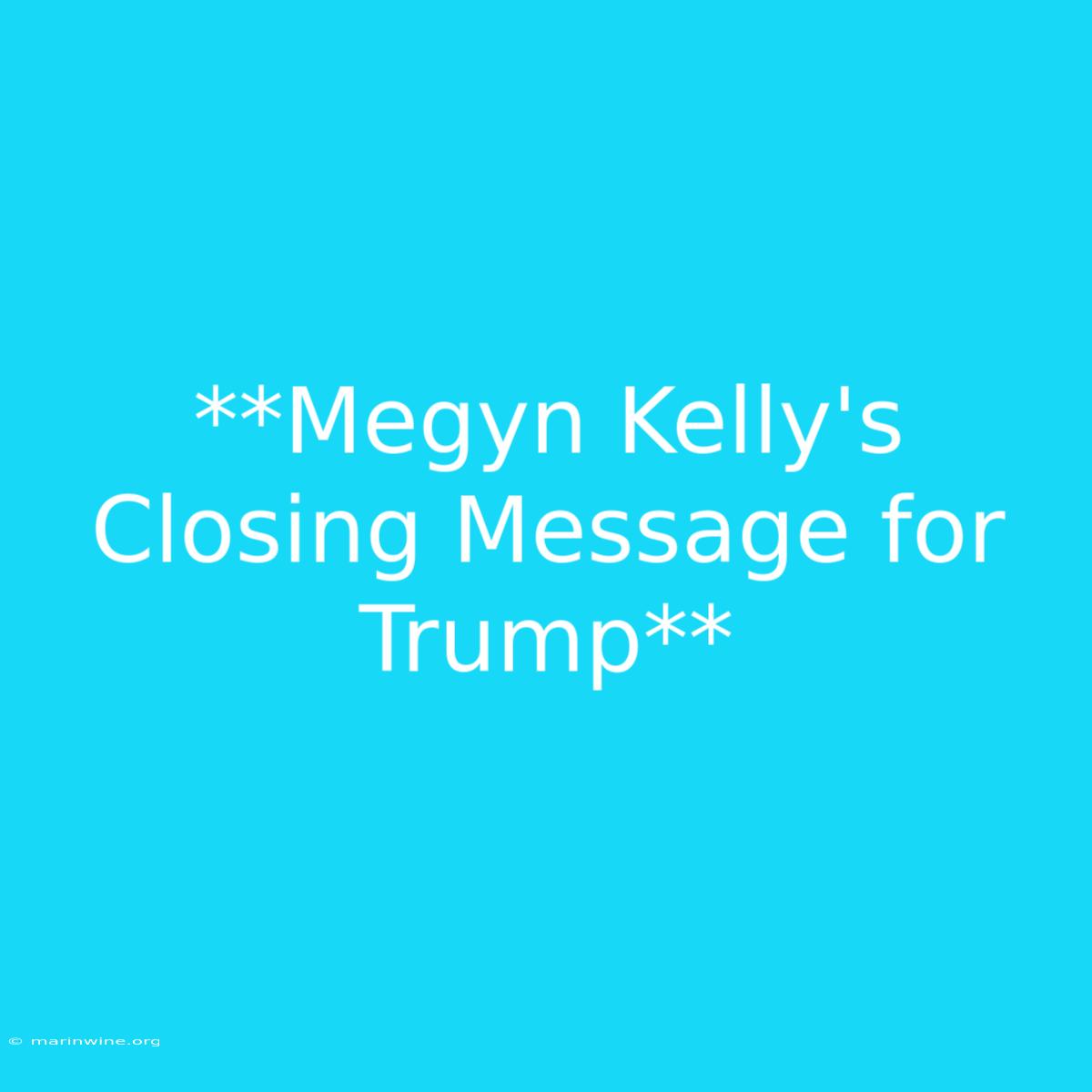 **Megyn Kelly's Closing Message For Trump**