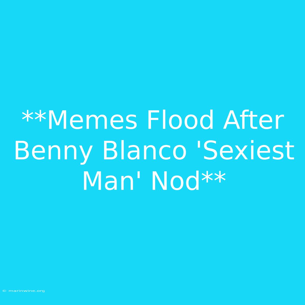 **Memes Flood After Benny Blanco 'Sexiest Man' Nod** 