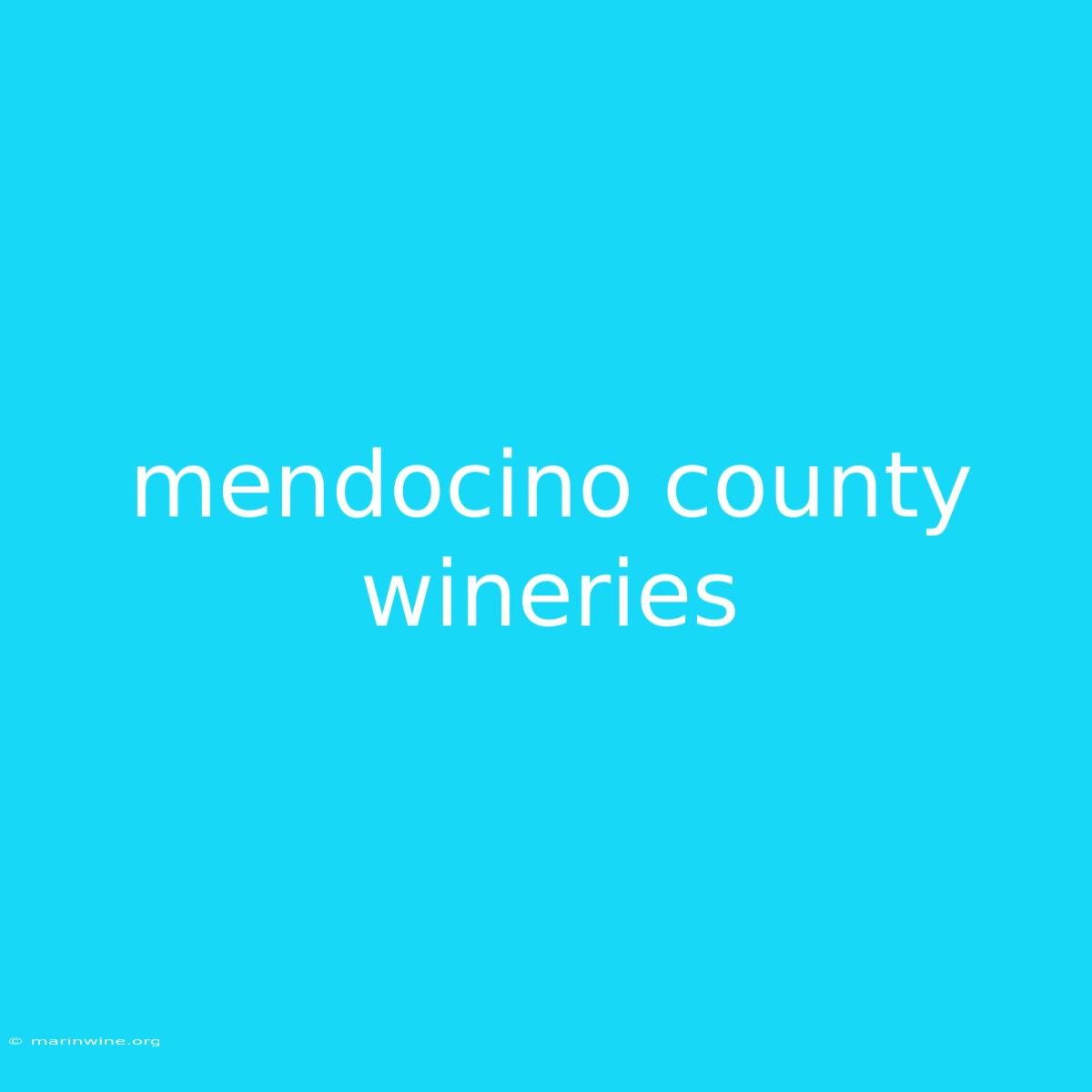 Mendocino County Wineries