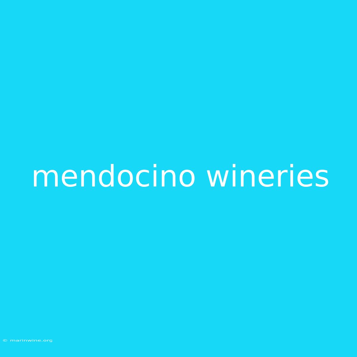 Mendocino Wineries