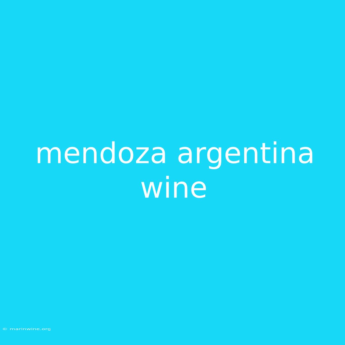 Mendoza Argentina Wine