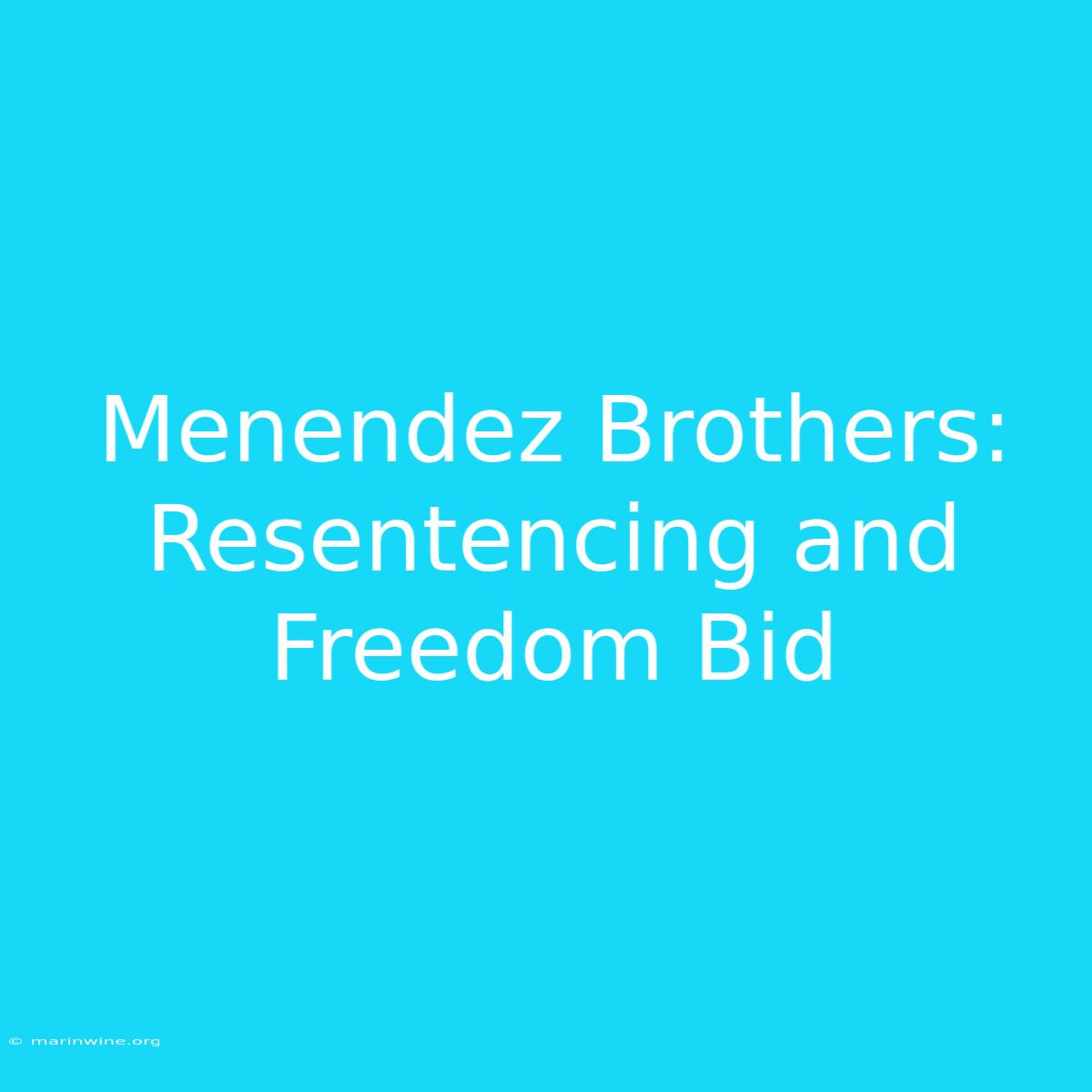 Menendez Brothers: Resentencing And Freedom Bid