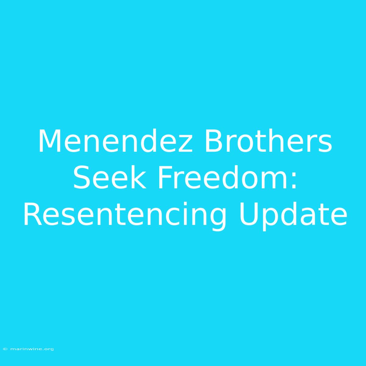 Menendez Brothers Seek Freedom: Resentencing Update