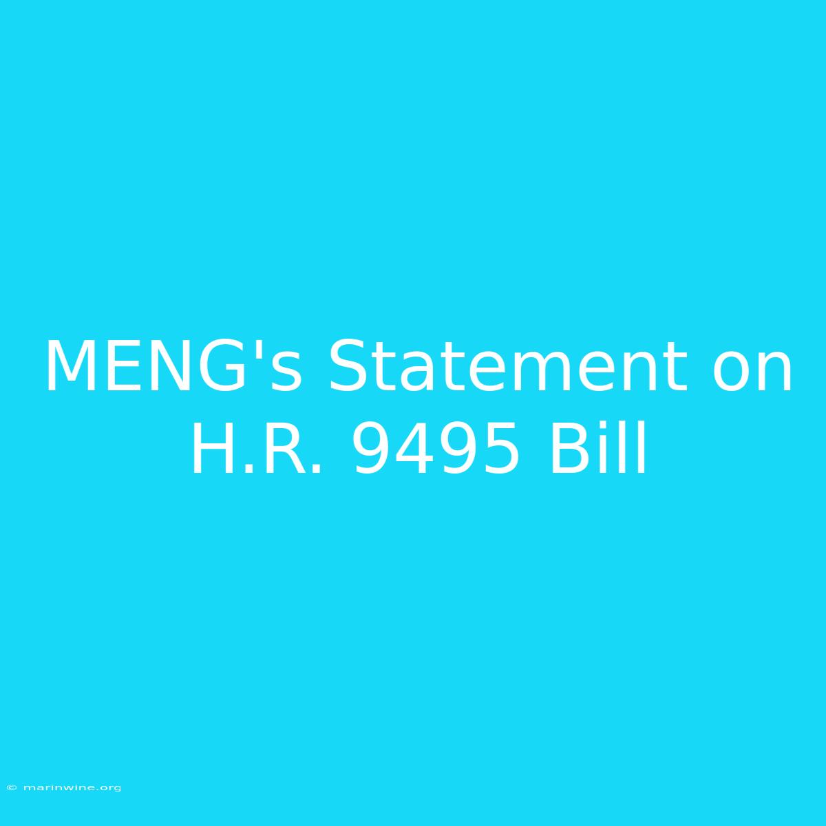 MENG's Statement On H.R. 9495 Bill