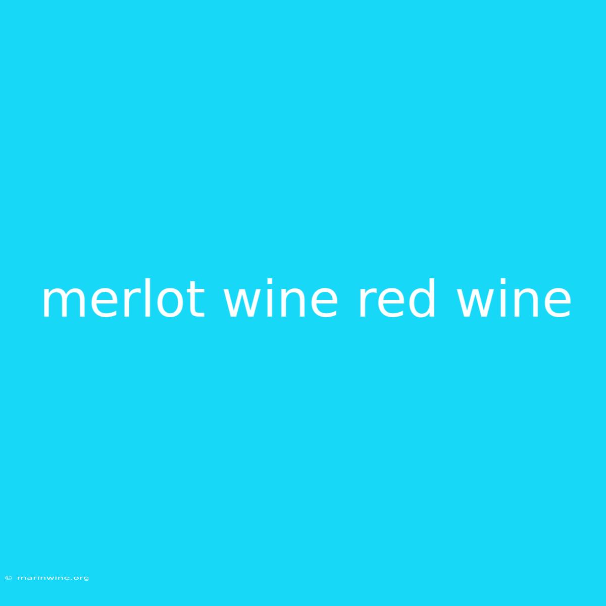 Merlot Wine Red Wine