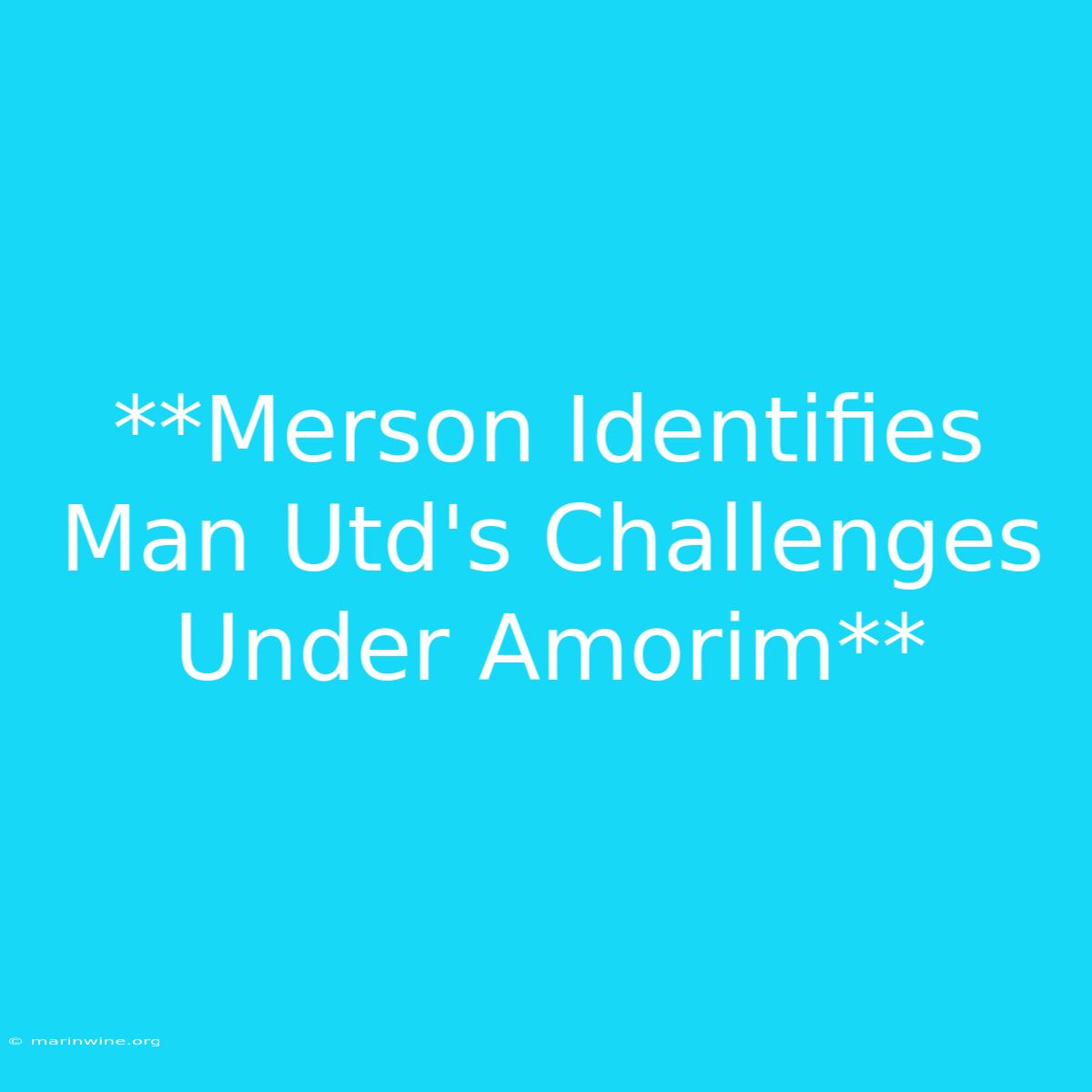 **Merson Identifies Man Utd's Challenges Under Amorim**