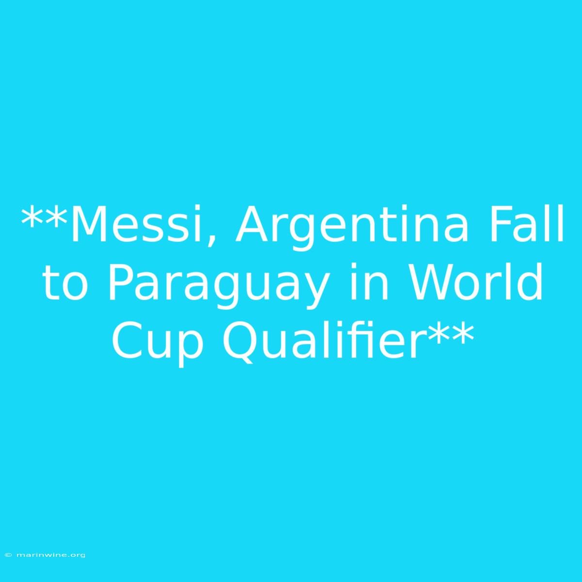 **Messi, Argentina Fall To Paraguay In World Cup Qualifier**