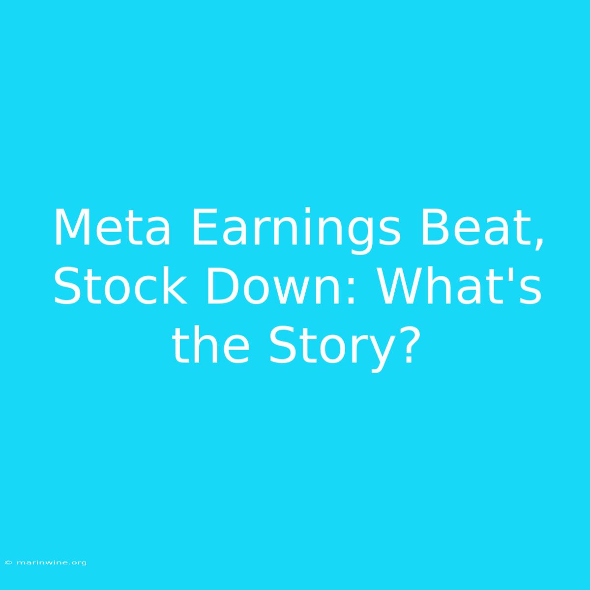 Meta Earnings Beat, Stock Down: What's The Story?