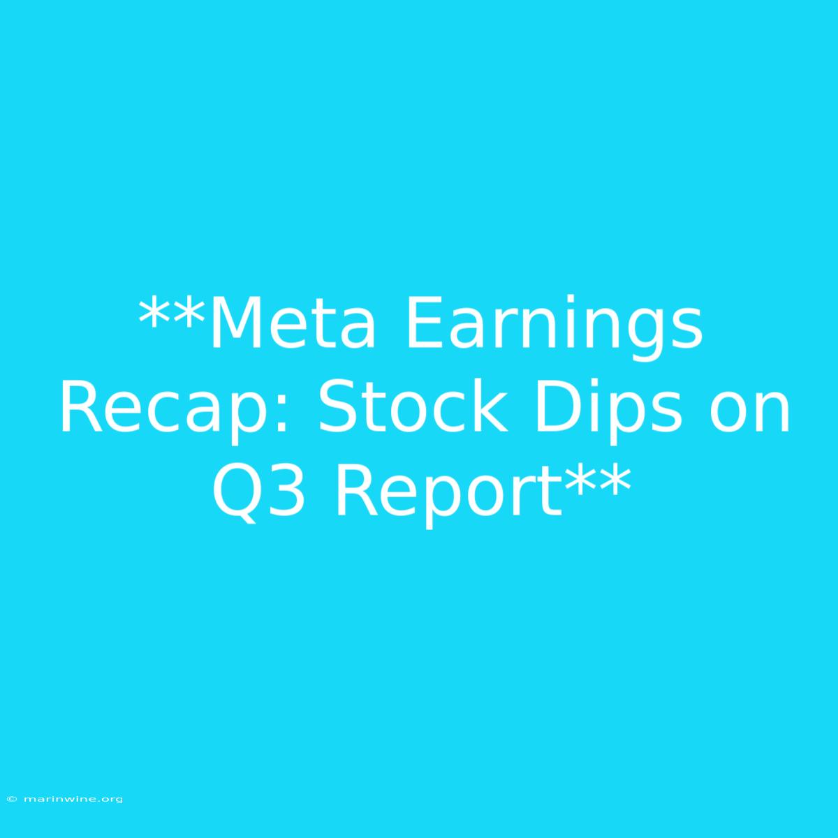 **Meta Earnings Recap: Stock Dips On Q3 Report**