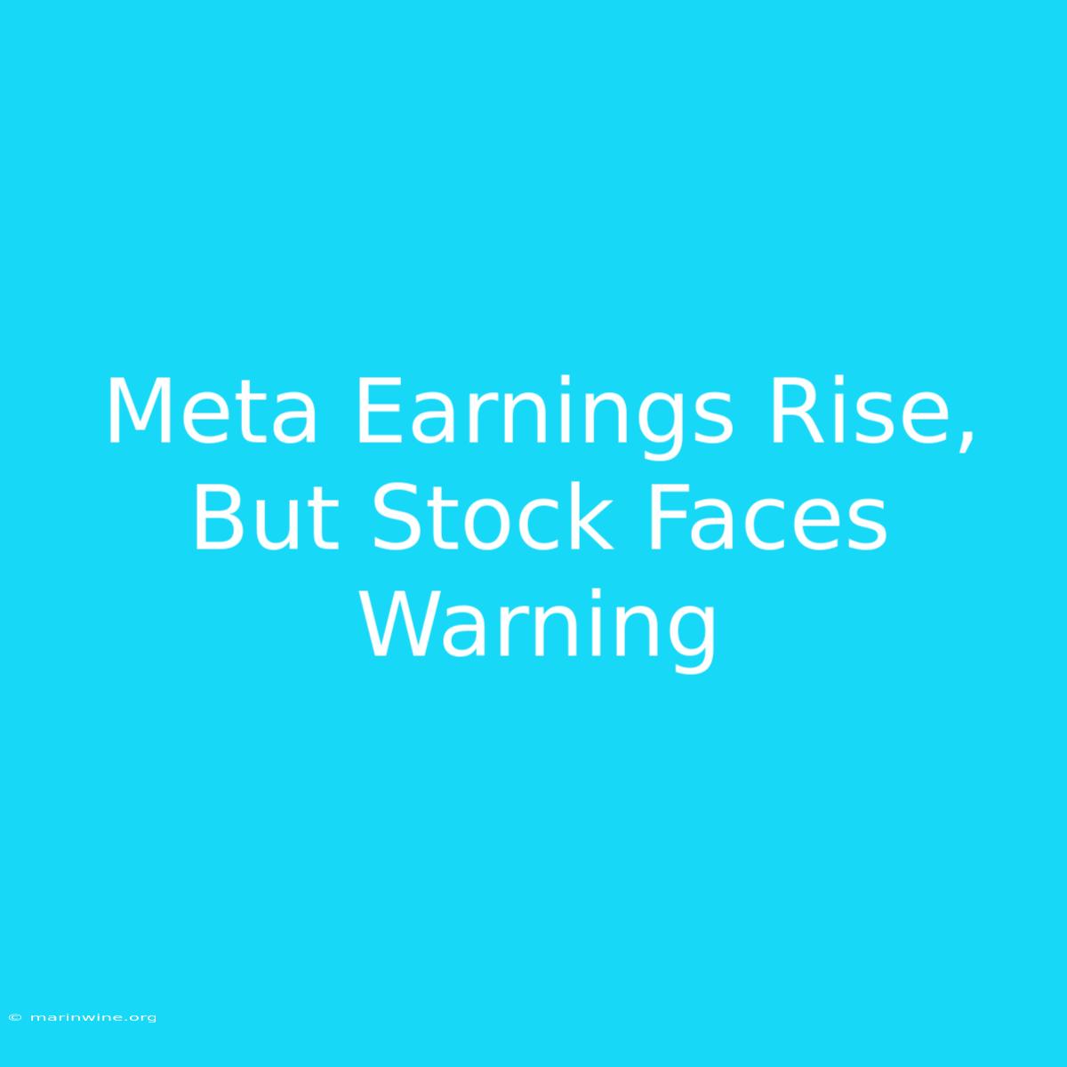 Meta Earnings Rise, But Stock Faces Warning