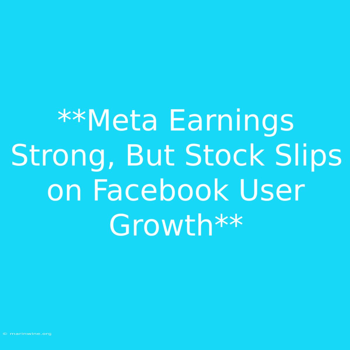 **Meta Earnings Strong, But Stock Slips On Facebook User Growth** 