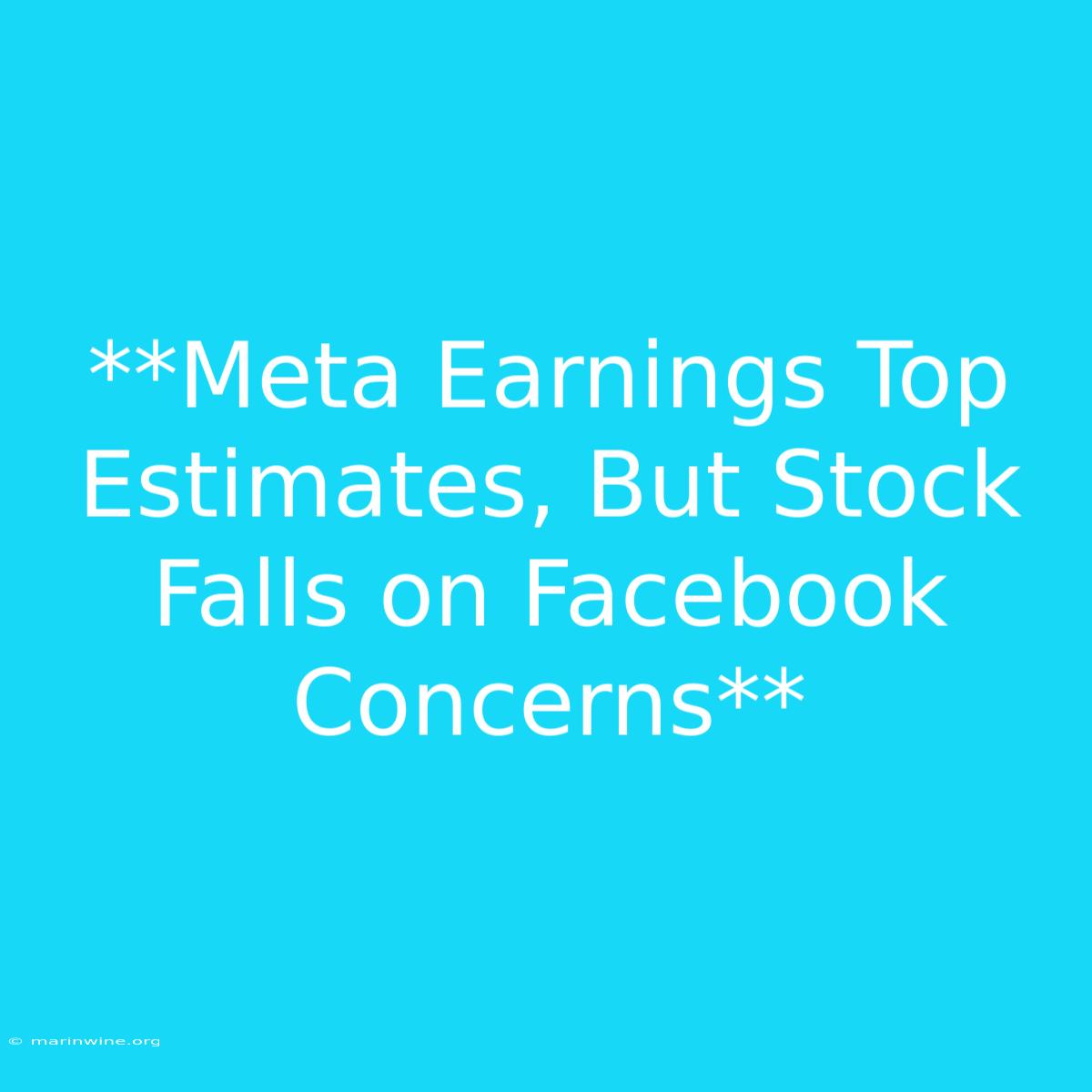 **Meta Earnings Top Estimates, But Stock Falls On Facebook Concerns** 