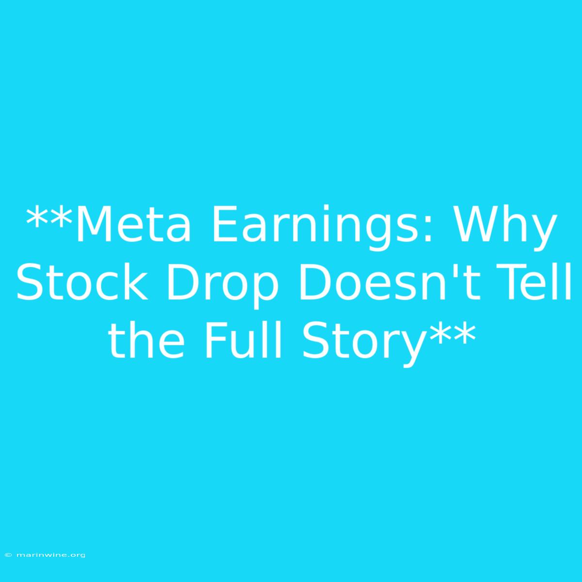 **Meta Earnings: Why Stock Drop Doesn't Tell The Full Story** 