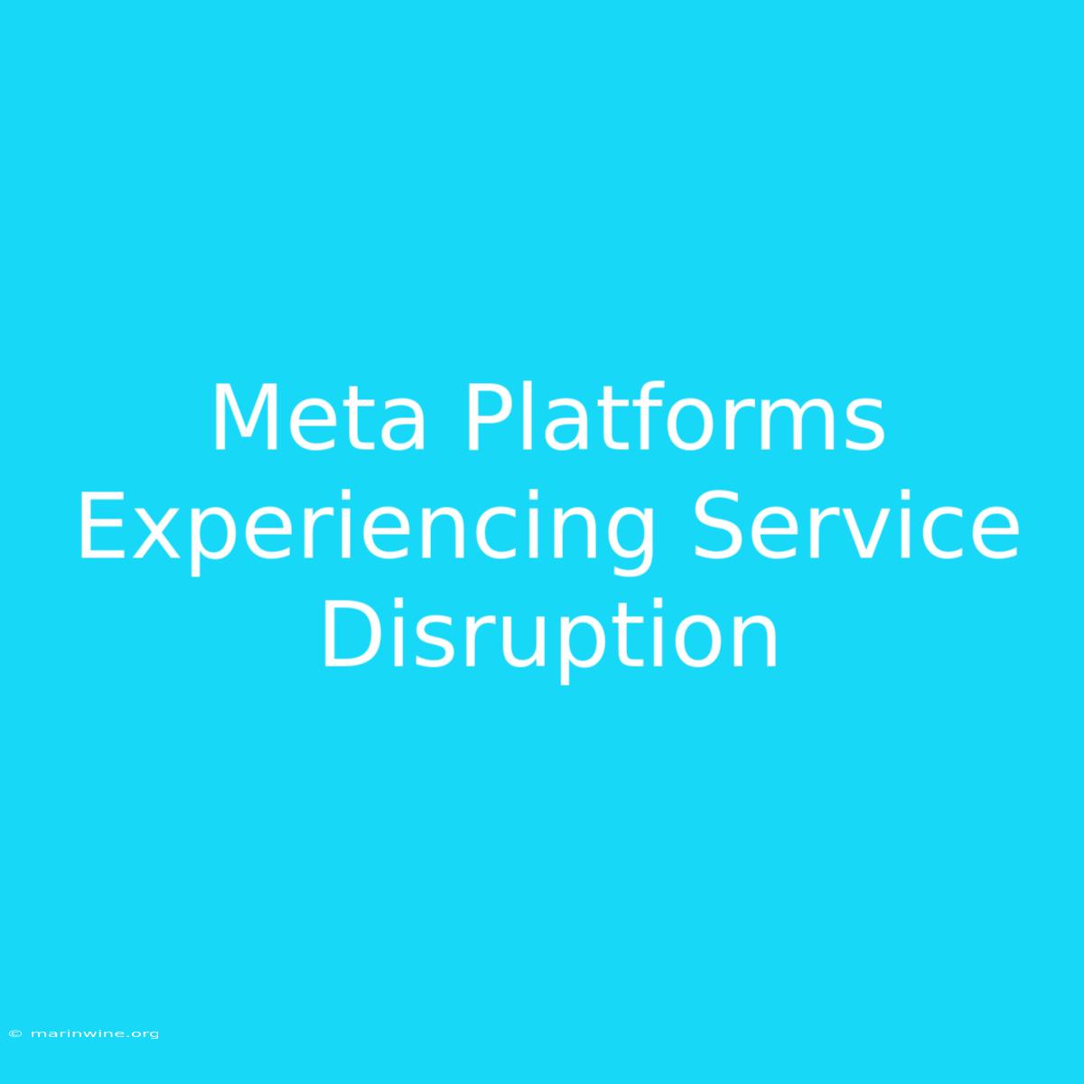 Meta Platforms Experiencing Service Disruption