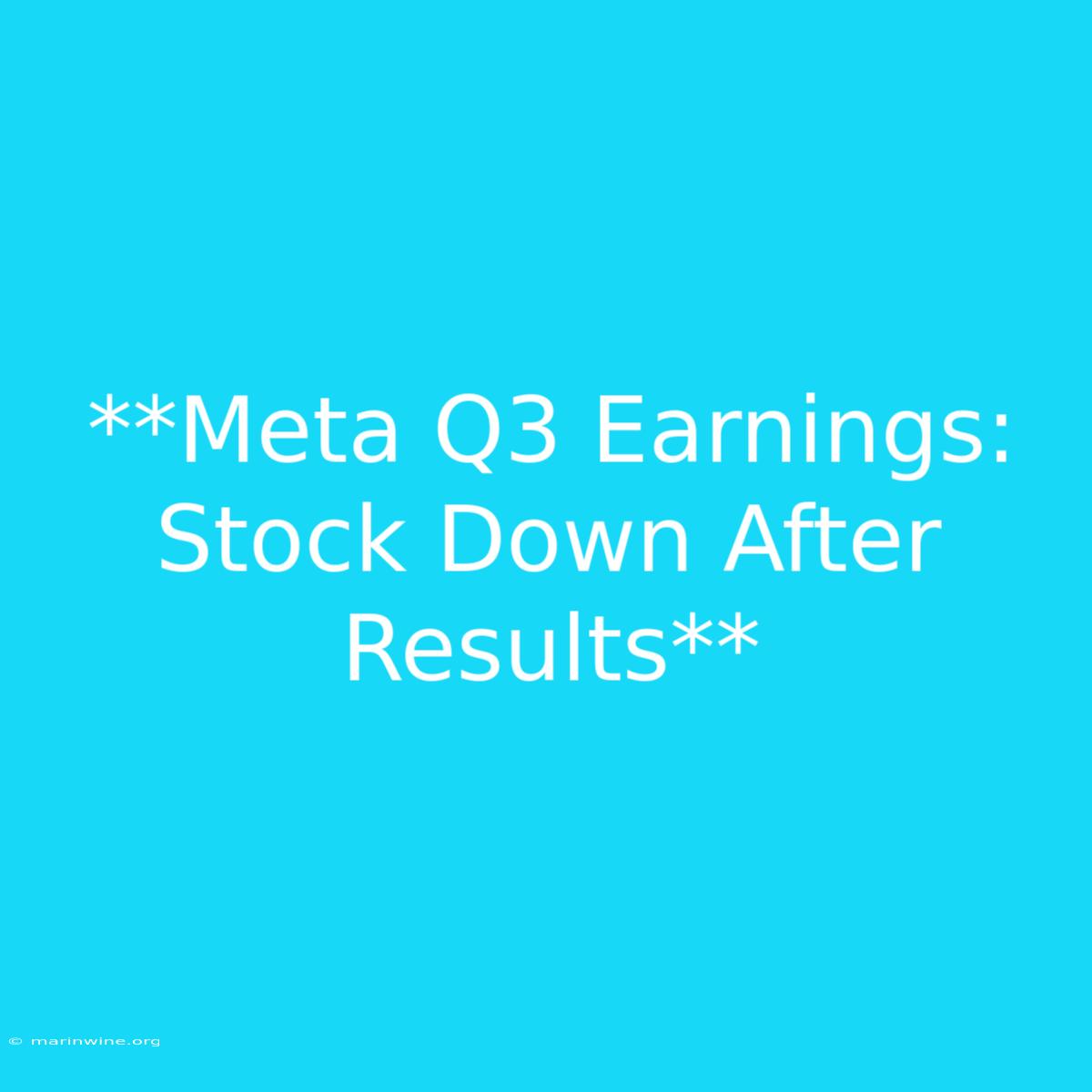 **Meta Q3 Earnings: Stock Down After Results**