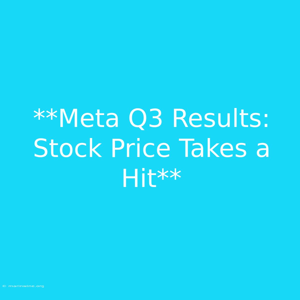 **Meta Q3 Results: Stock Price Takes A Hit** 