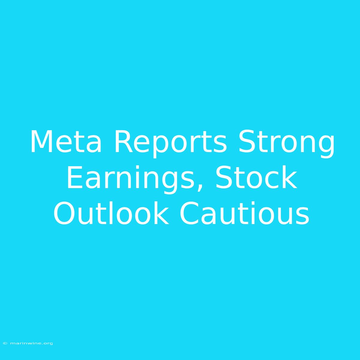 Meta Reports Strong Earnings, Stock Outlook Cautious