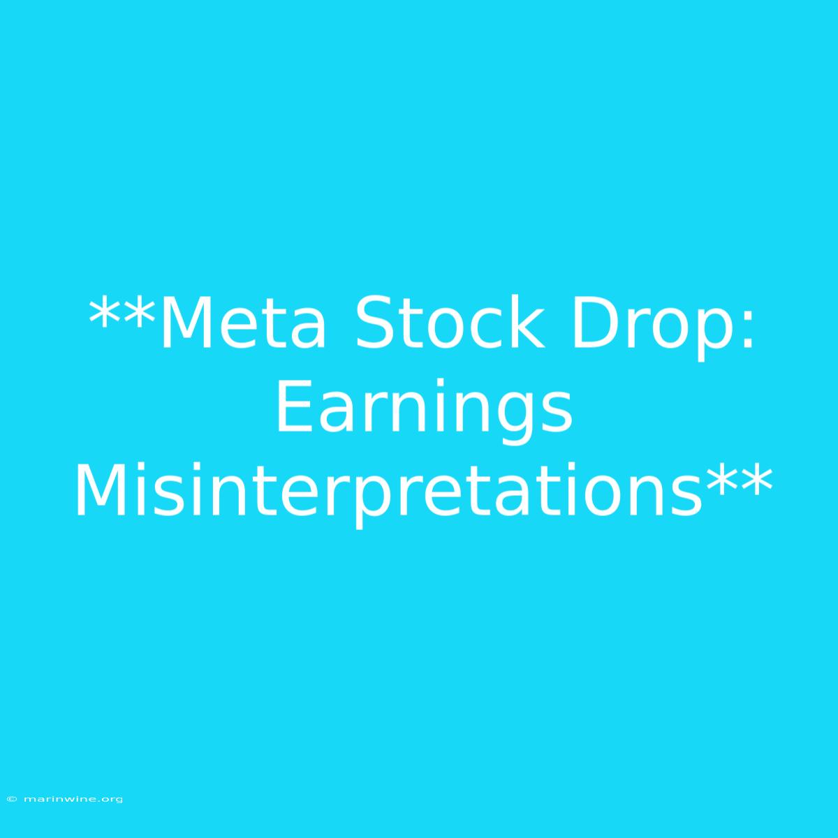 **Meta Stock Drop: Earnings Misinterpretations**