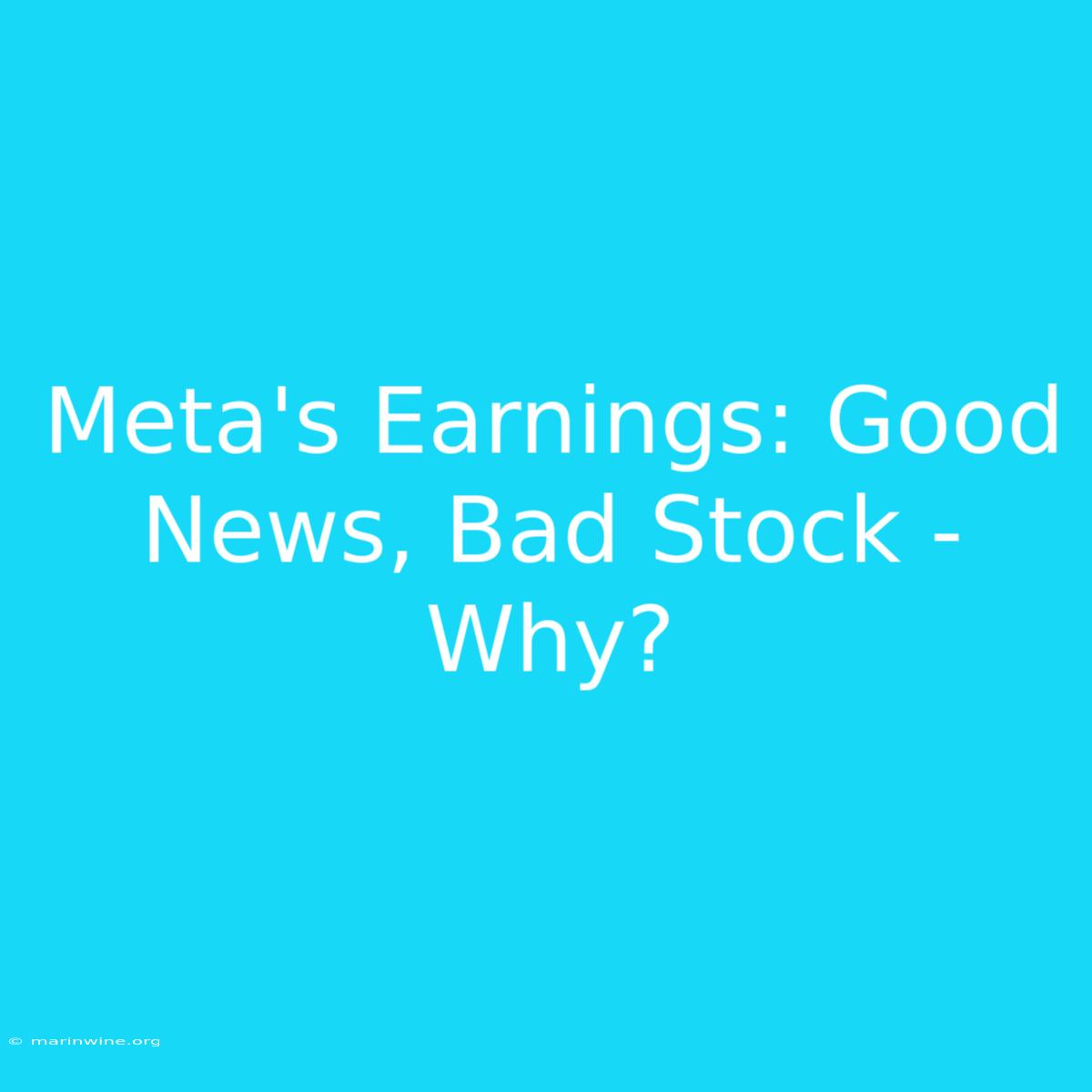 Meta's Earnings: Good News, Bad Stock - Why? 