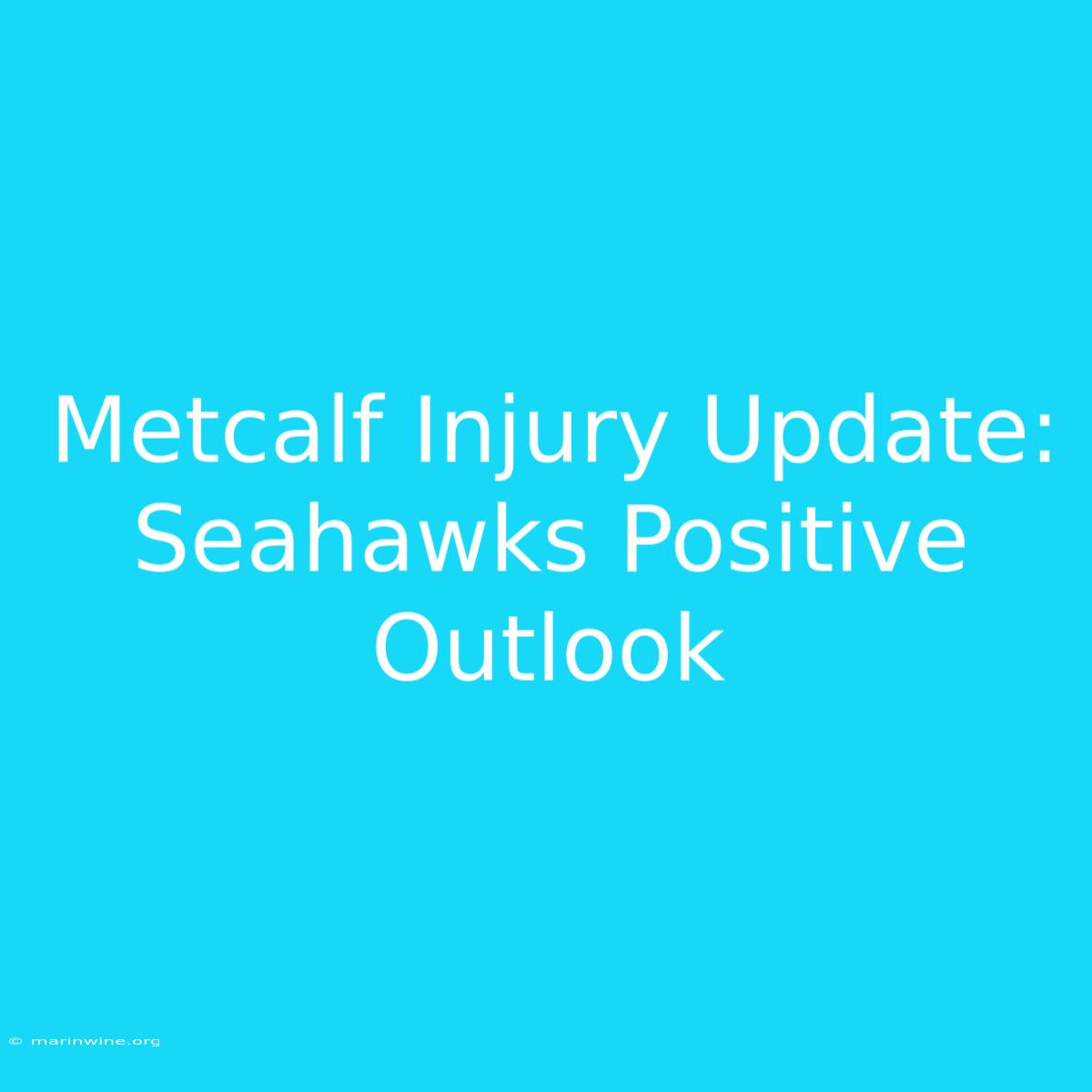 Metcalf Injury Update: Seahawks Positive Outlook