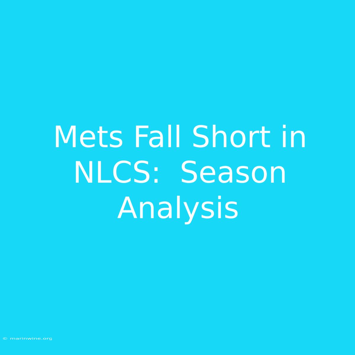 Mets Fall Short In NLCS:  Season Analysis 