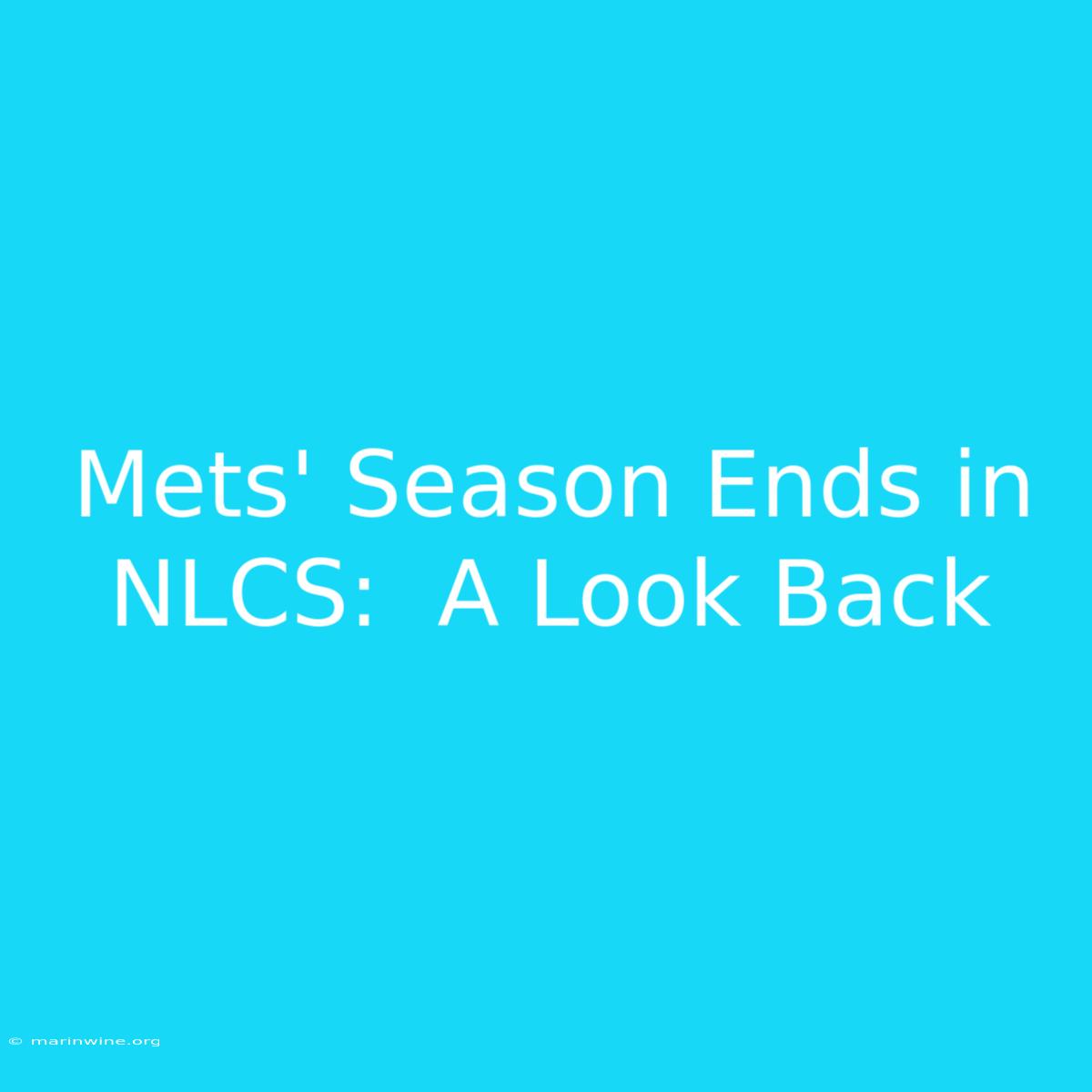 Mets' Season Ends In NLCS:  A Look Back