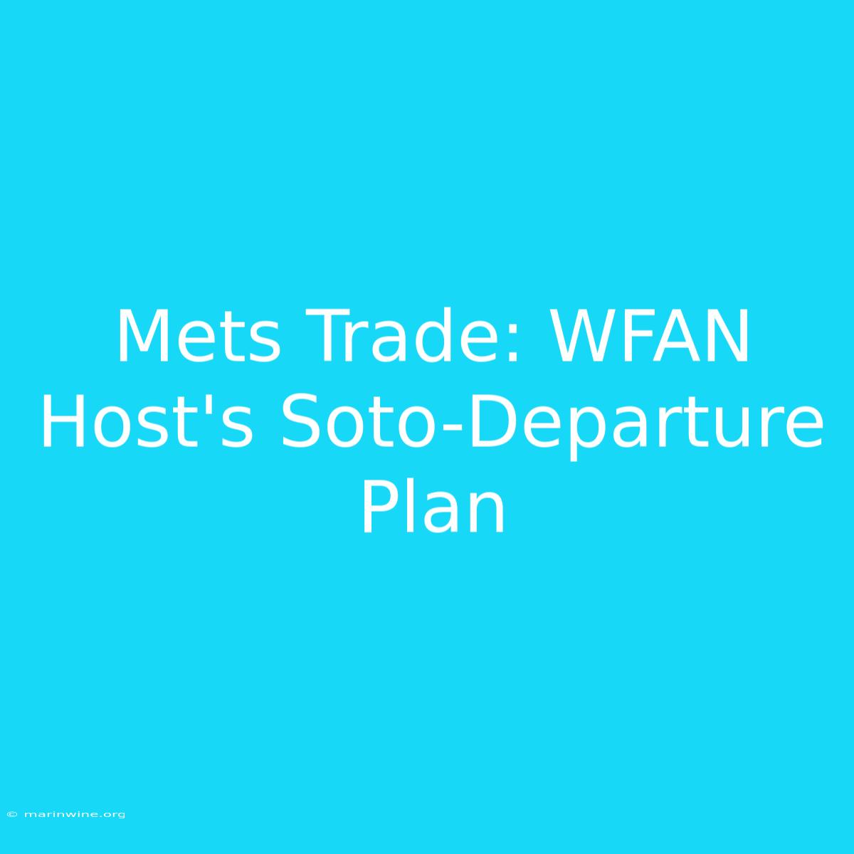 Mets Trade: WFAN Host's Soto-Departure Plan