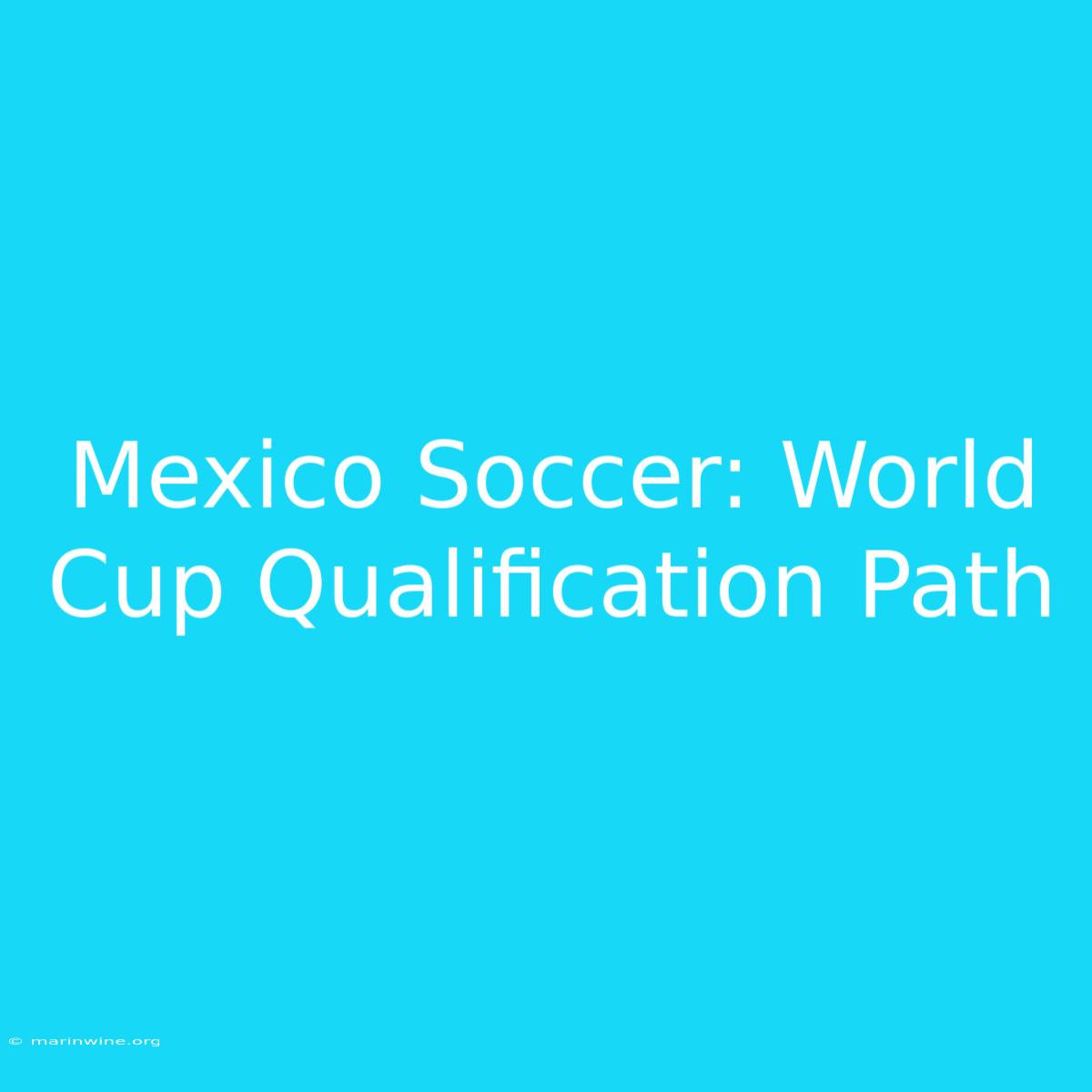 Mexico Soccer: World Cup Qualification Path