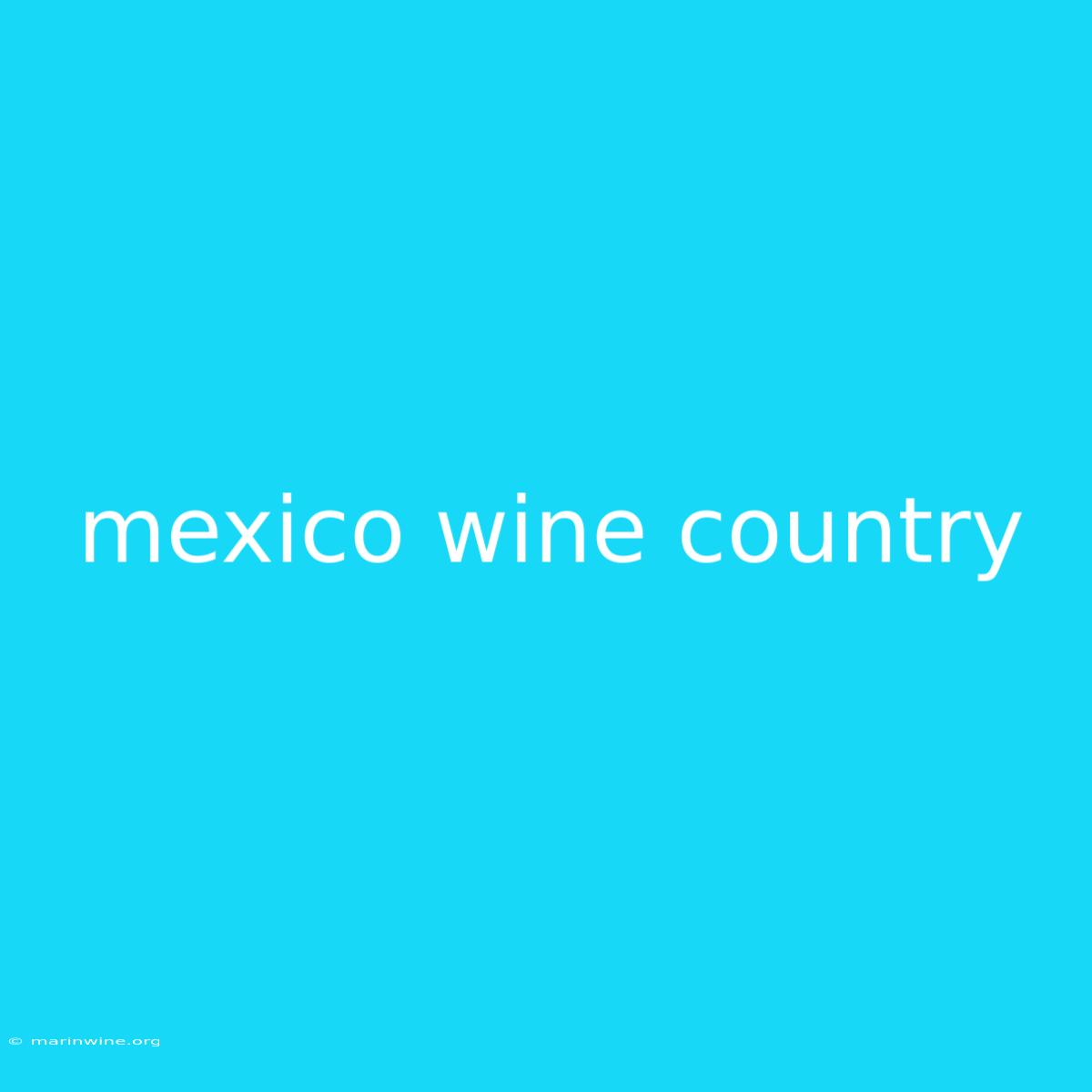 Mexico Wine Country