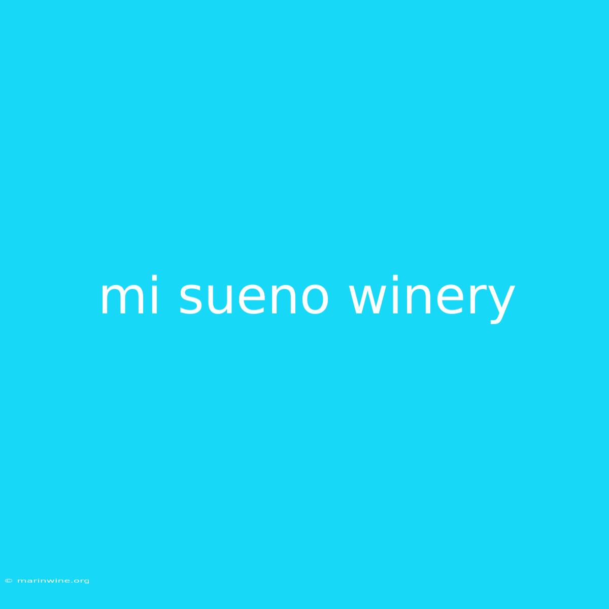 Mi Sueno Winery