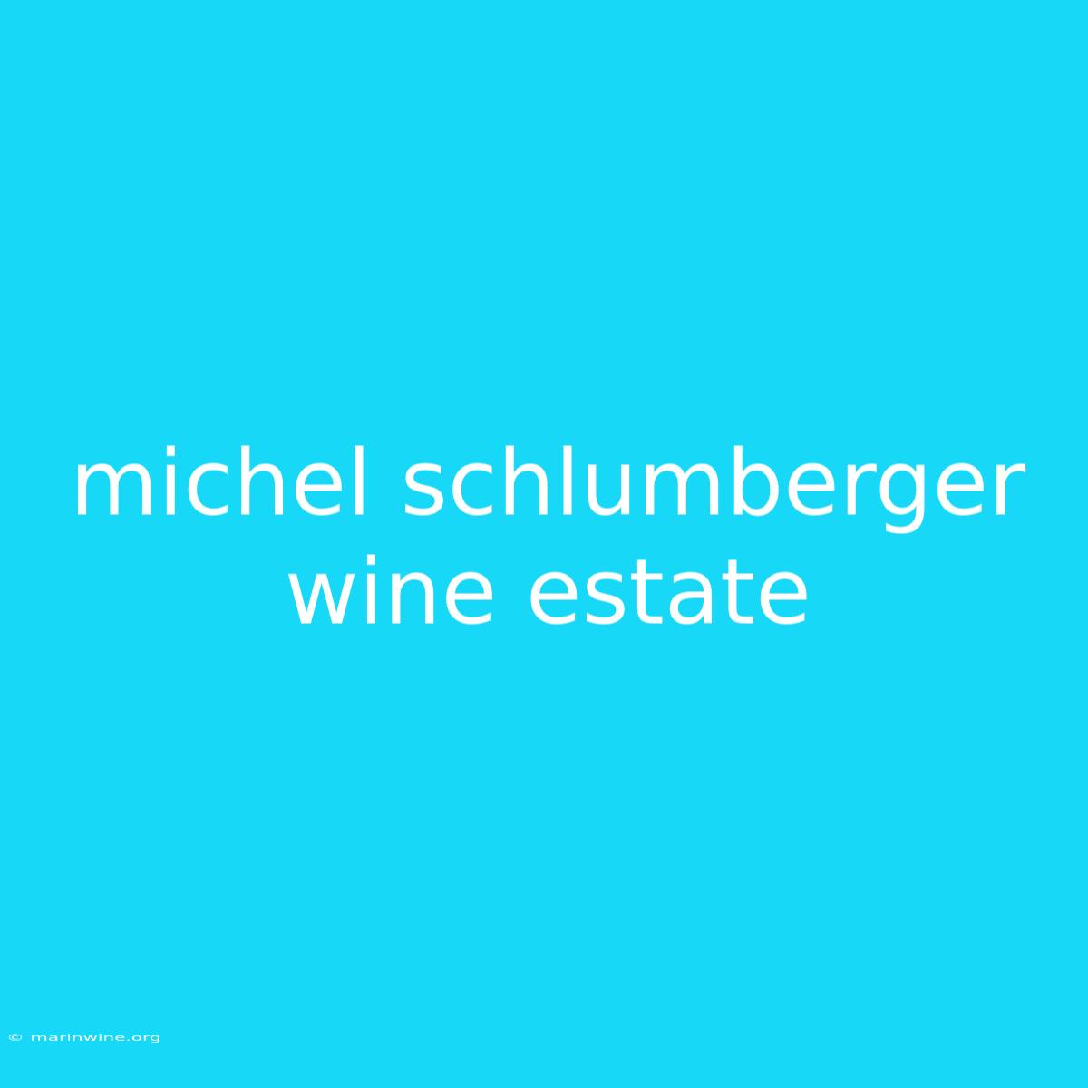 Michel Schlumberger Wine Estate