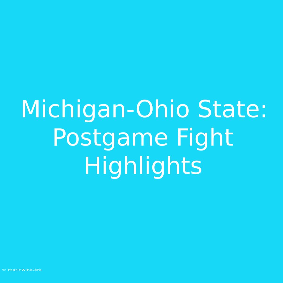 Michigan-Ohio State: Postgame Fight Highlights