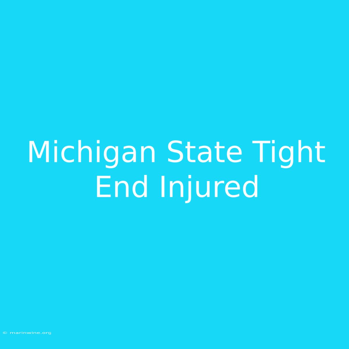 Michigan State Tight End Injured