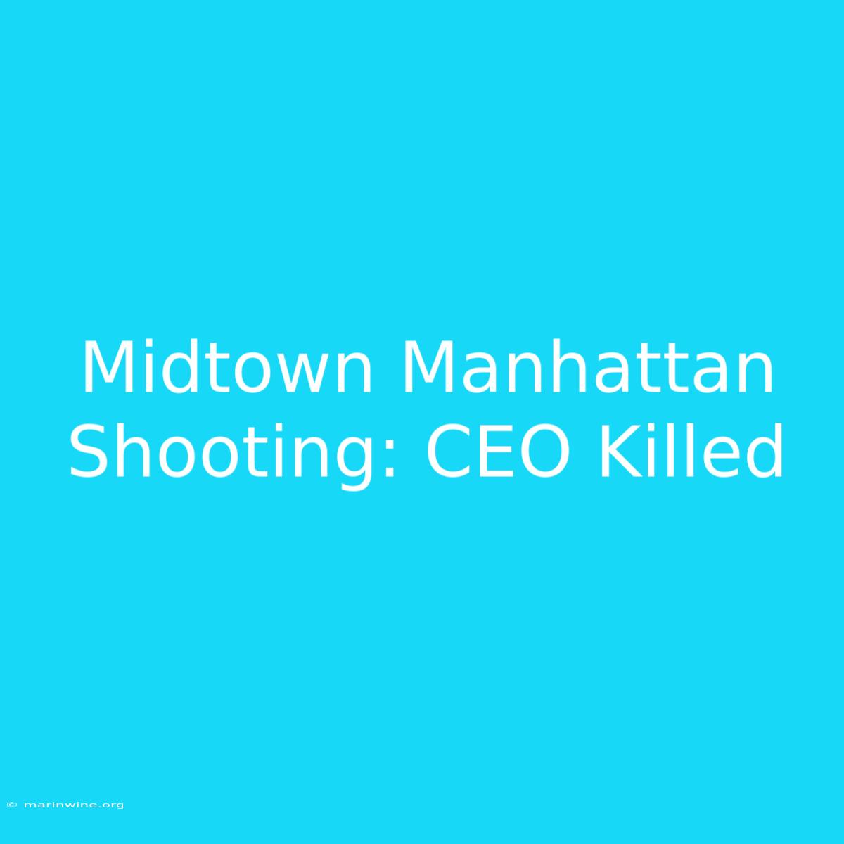 Midtown Manhattan Shooting: CEO Killed