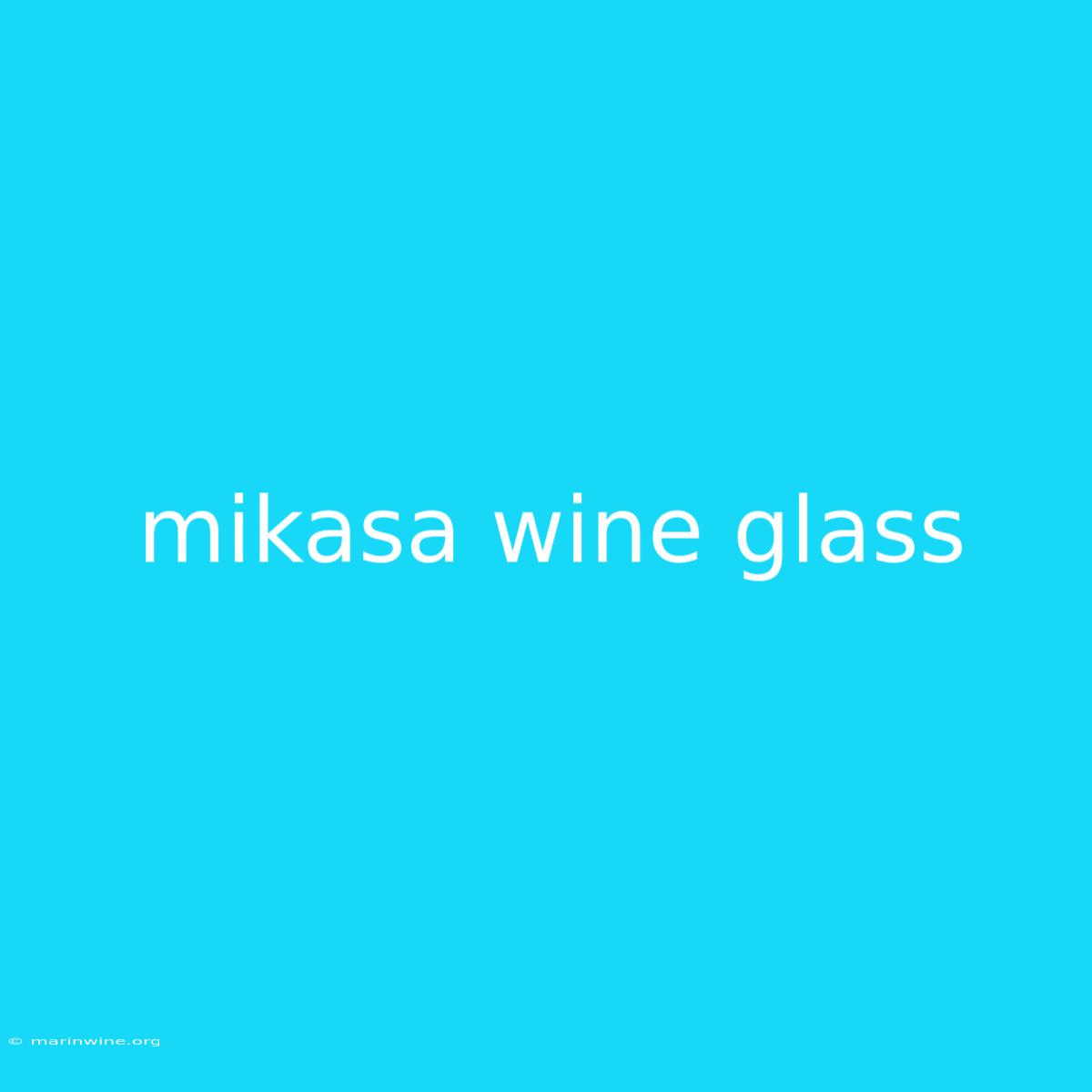 Mikasa Wine Glass