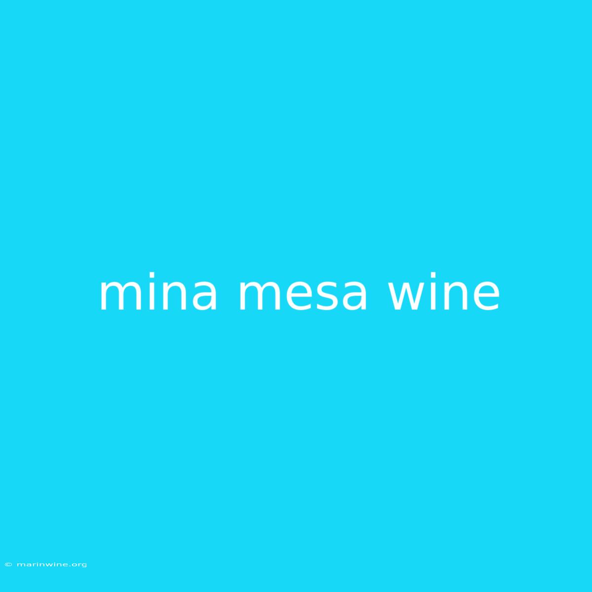 Mina Mesa Wine