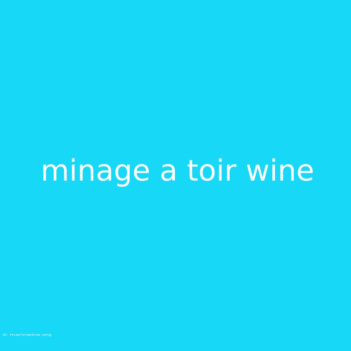 Minage A Toir Wine