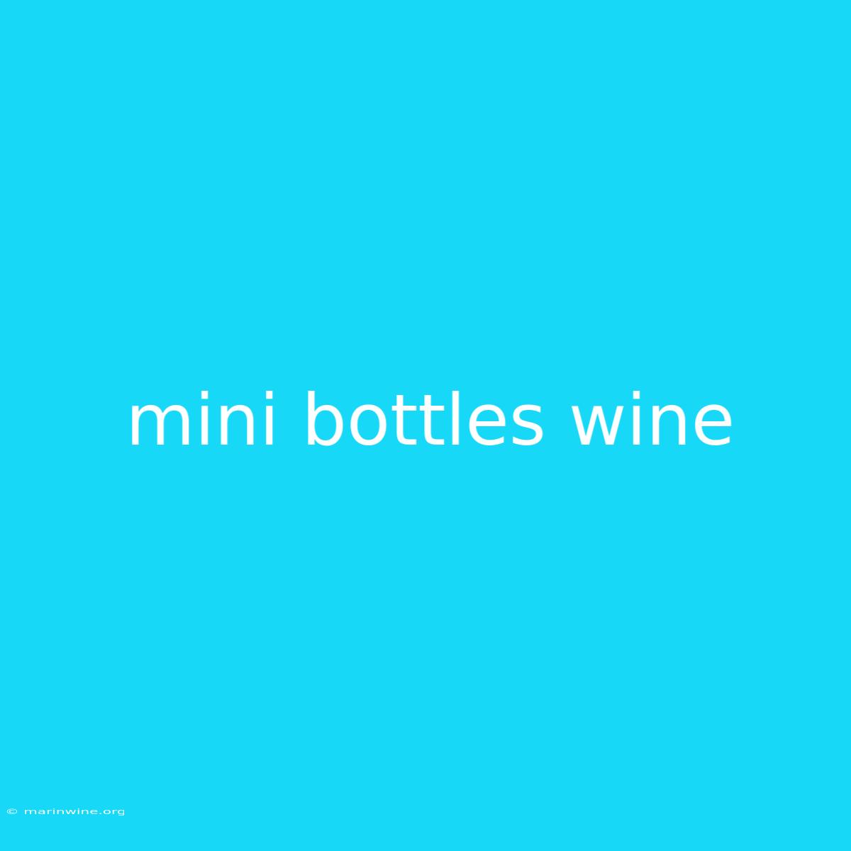 Mini Bottles Wine