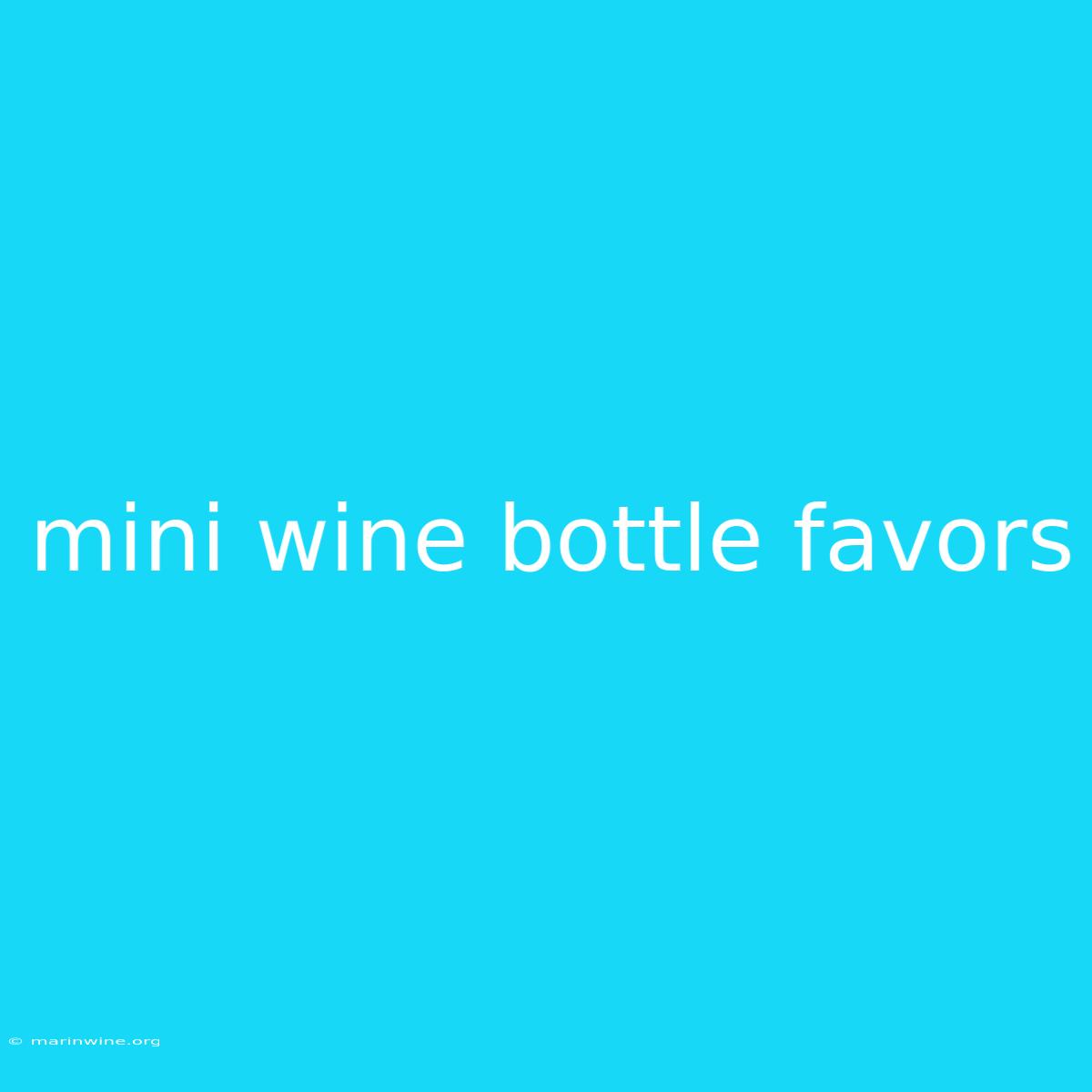 Mini Wine Bottle Favors