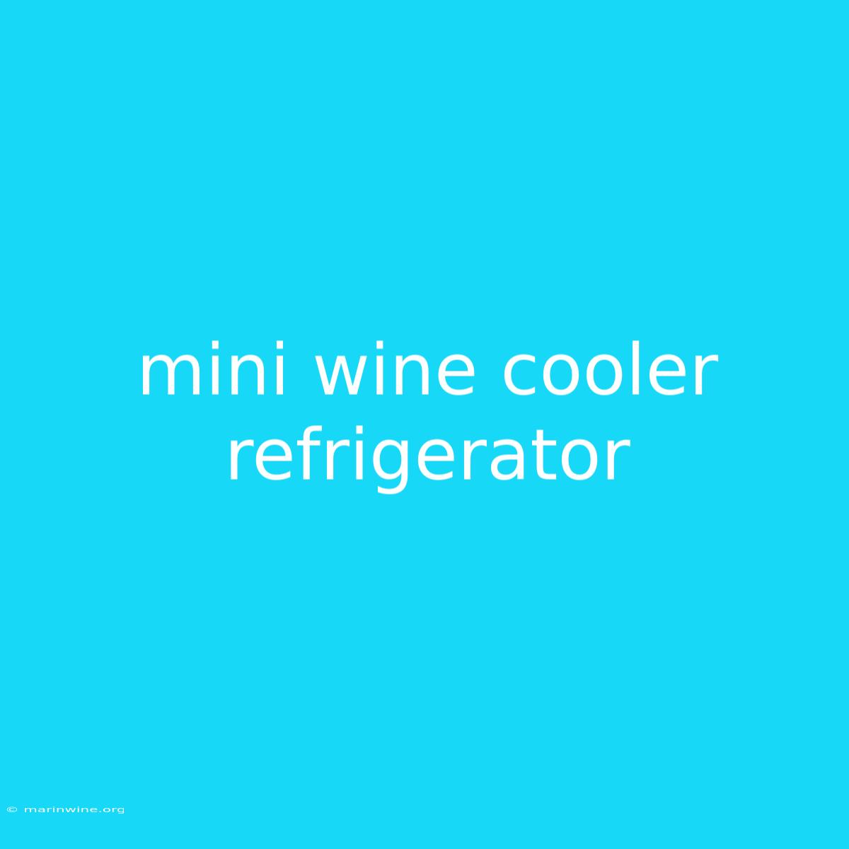 Mini Wine Cooler Refrigerator