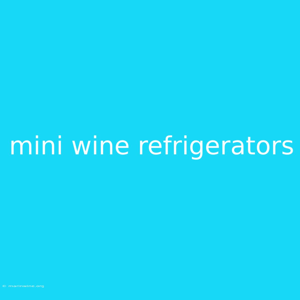 Mini Wine Refrigerators