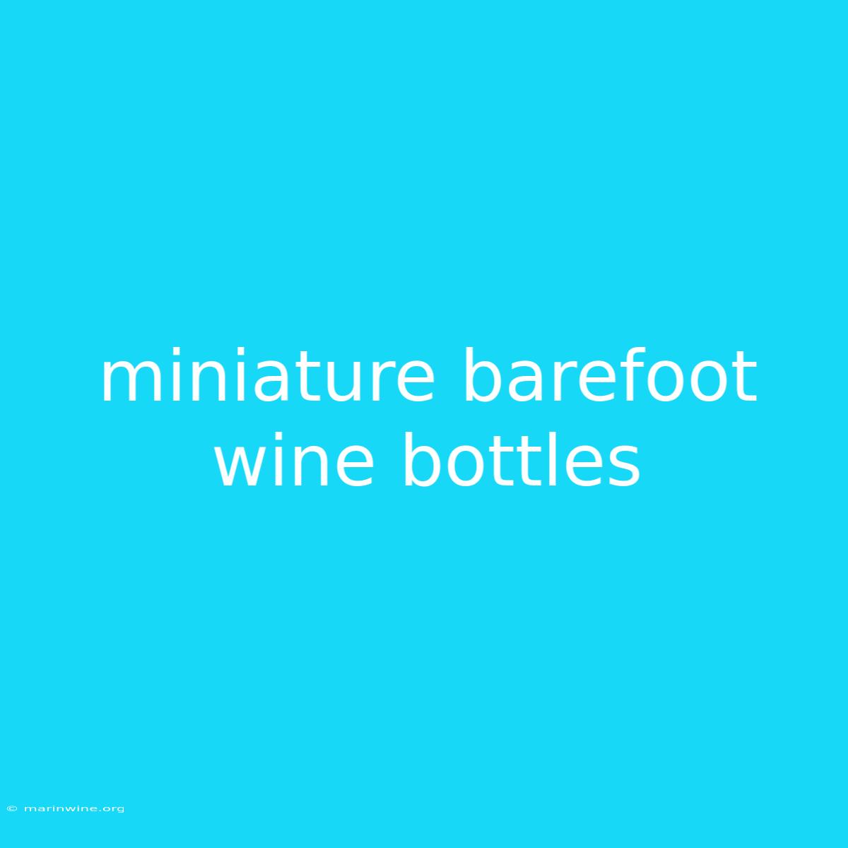 Miniature Barefoot Wine Bottles