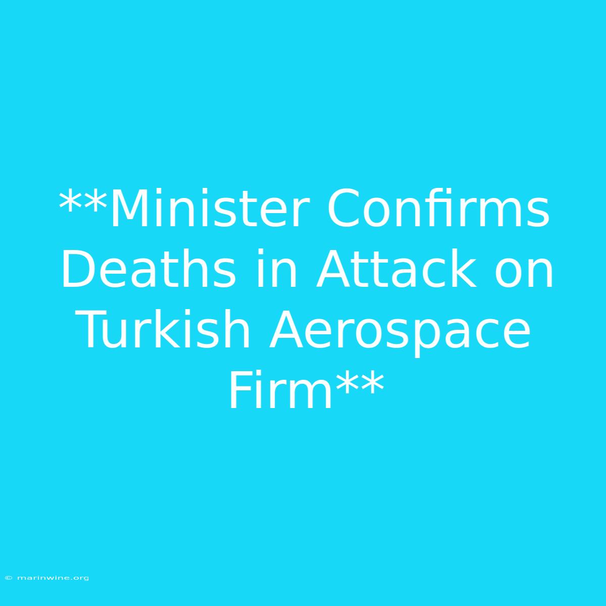 **Minister Confirms Deaths In Attack On Turkish Aerospace Firm**