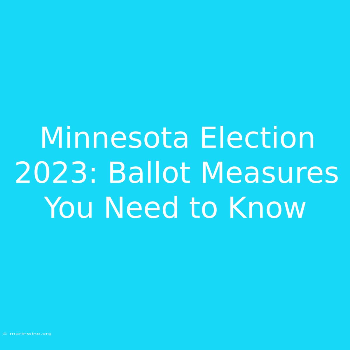 Minnesota Election 2023: Ballot Measures You Need To Know 