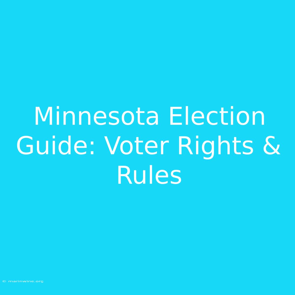 Minnesota Election Guide: Voter Rights & Rules