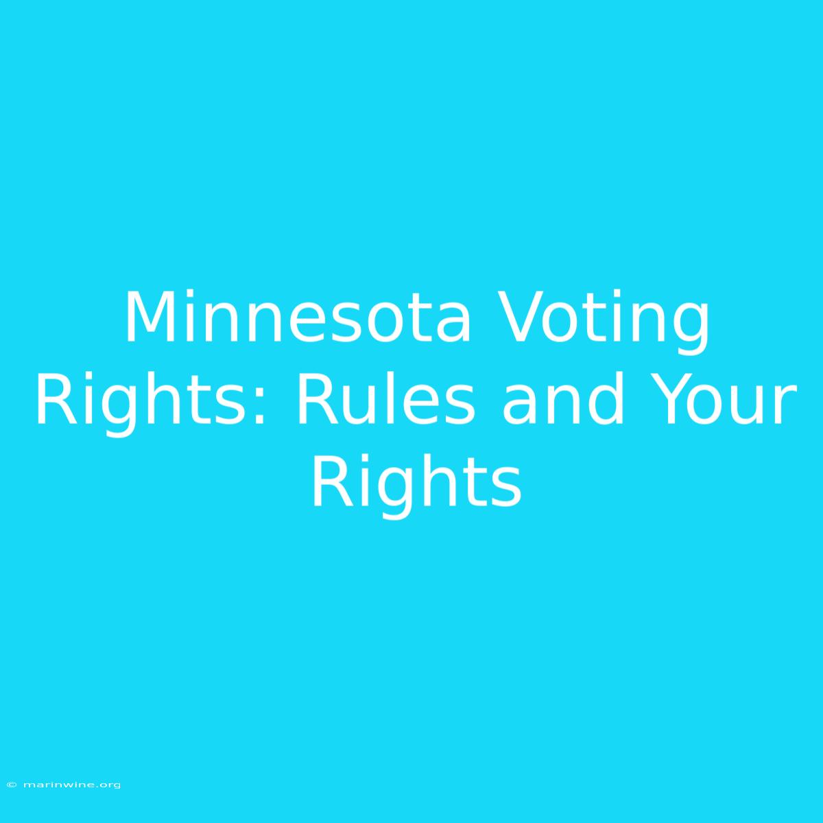 Minnesota Voting Rights: Rules And Your Rights