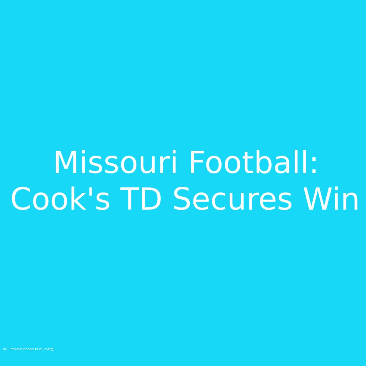 Missouri Football: Cook's TD Secures Win