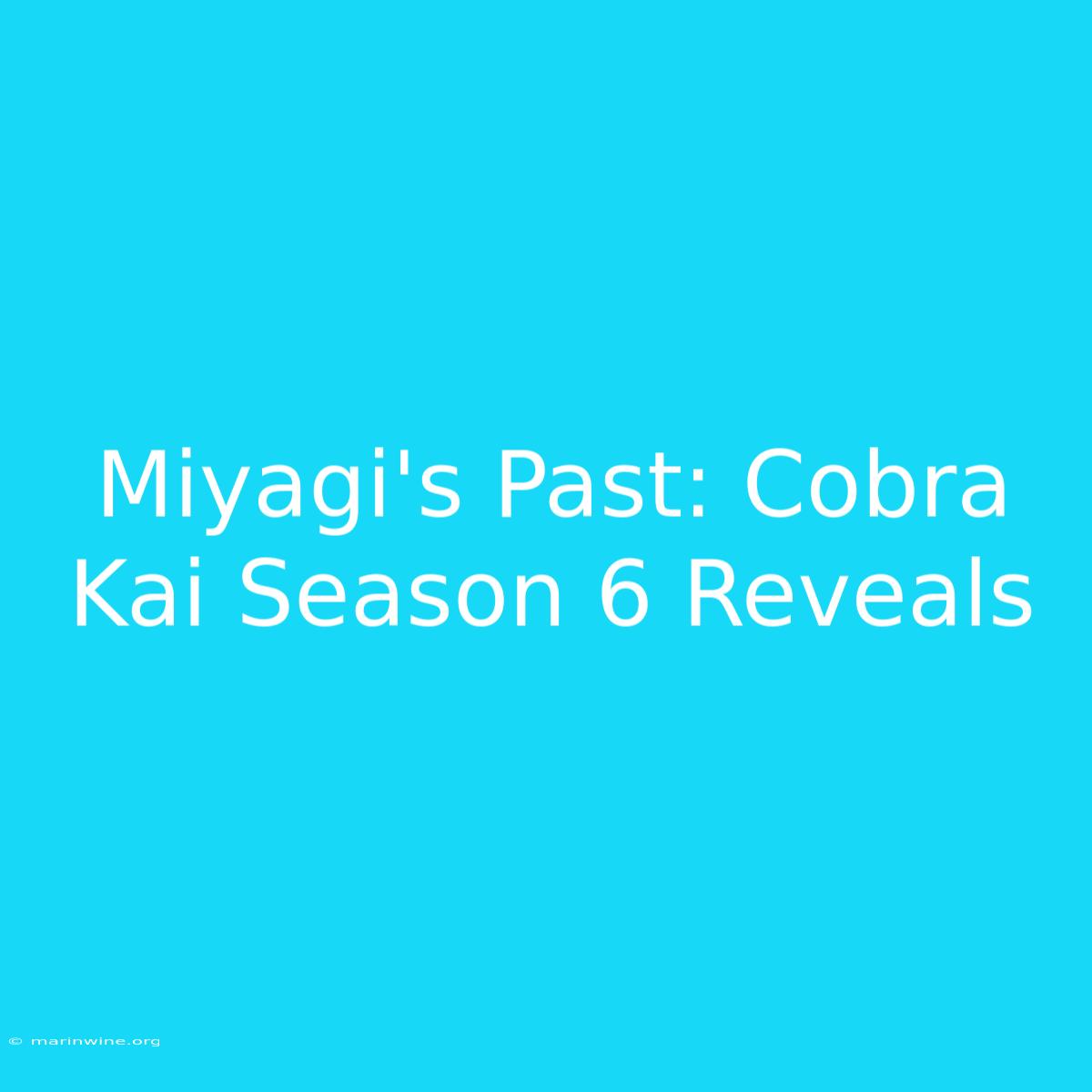 Miyagi's Past: Cobra Kai Season 6 Reveals