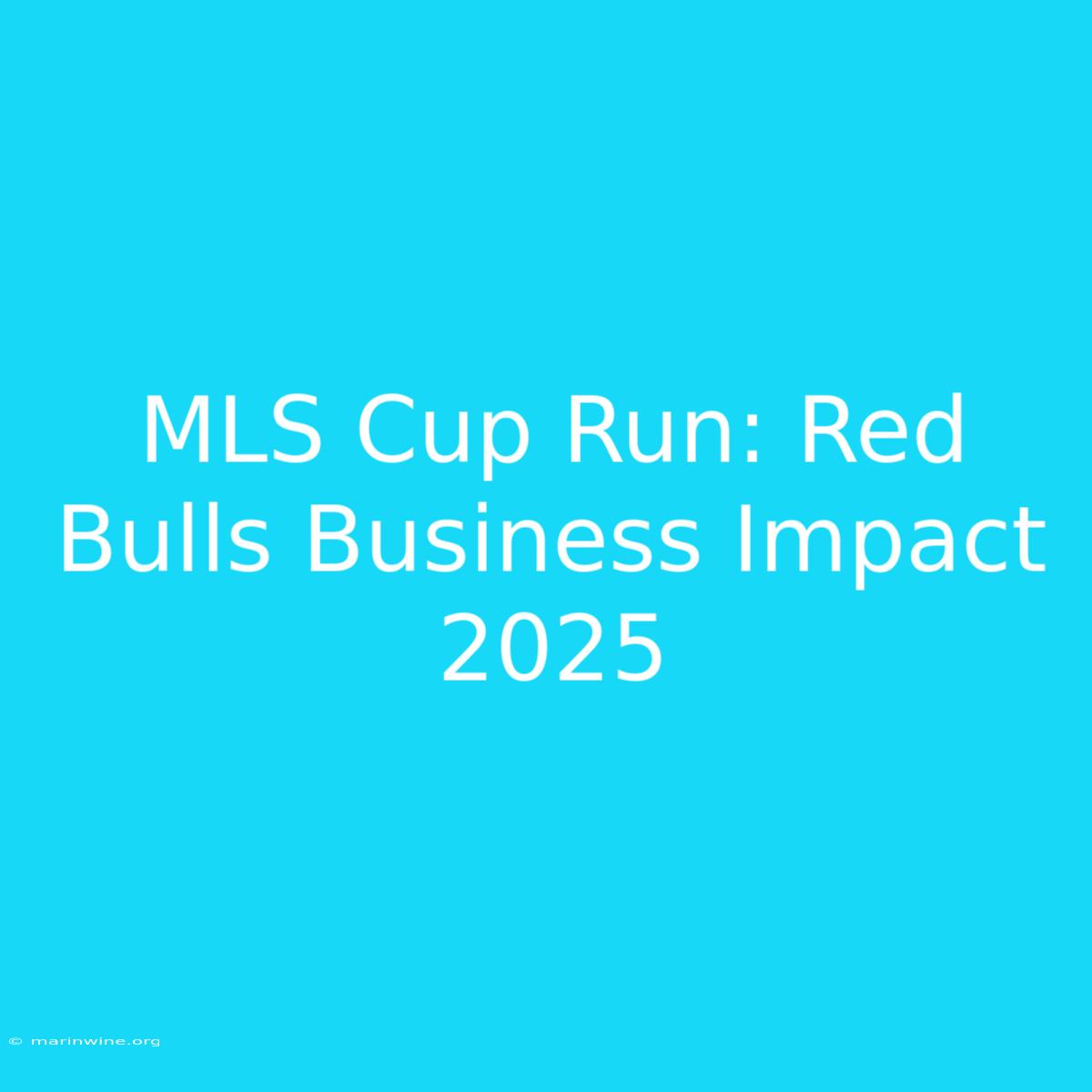 MLS Cup Run: Red Bulls Business Impact 2025