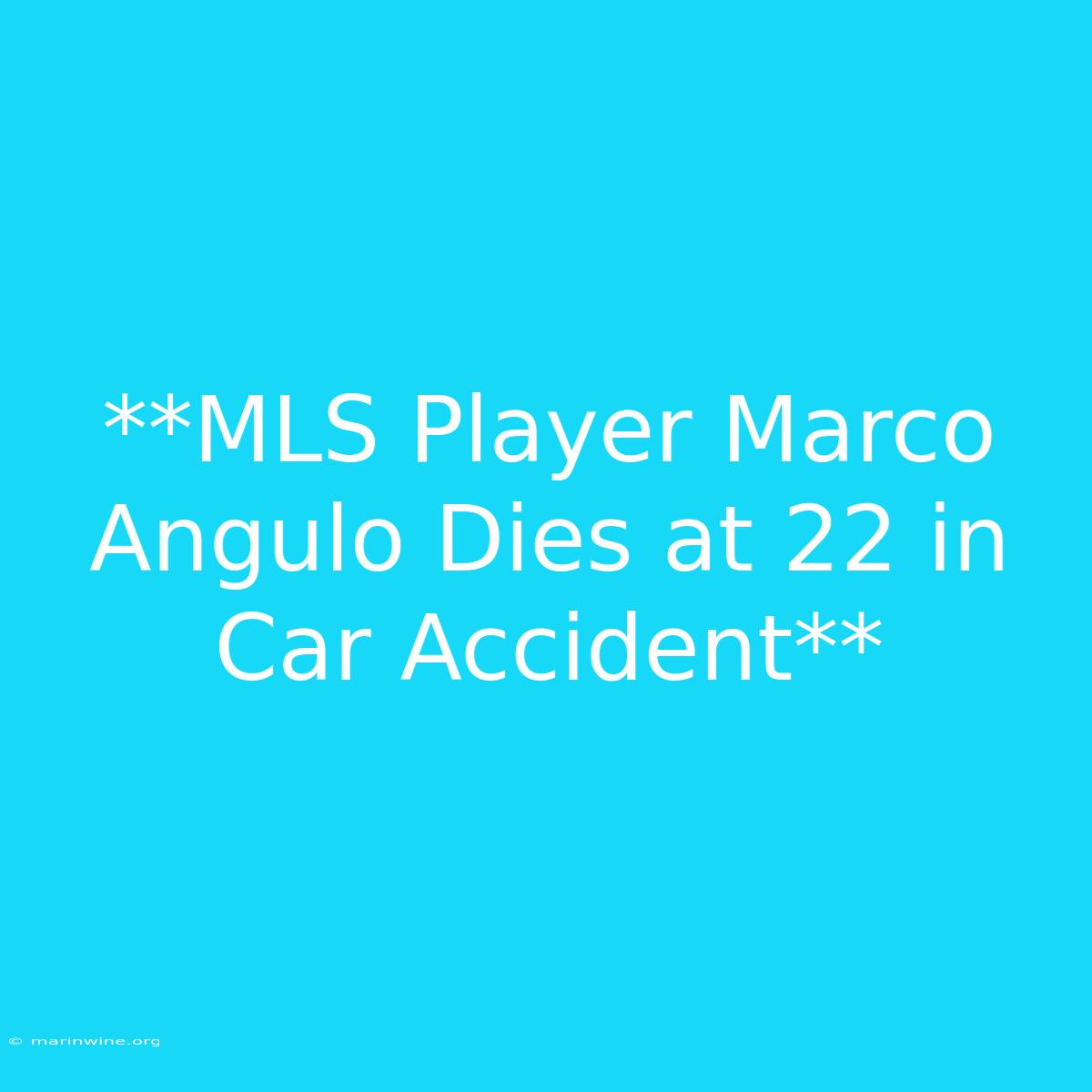 **MLS Player Marco Angulo Dies At 22 In Car Accident**